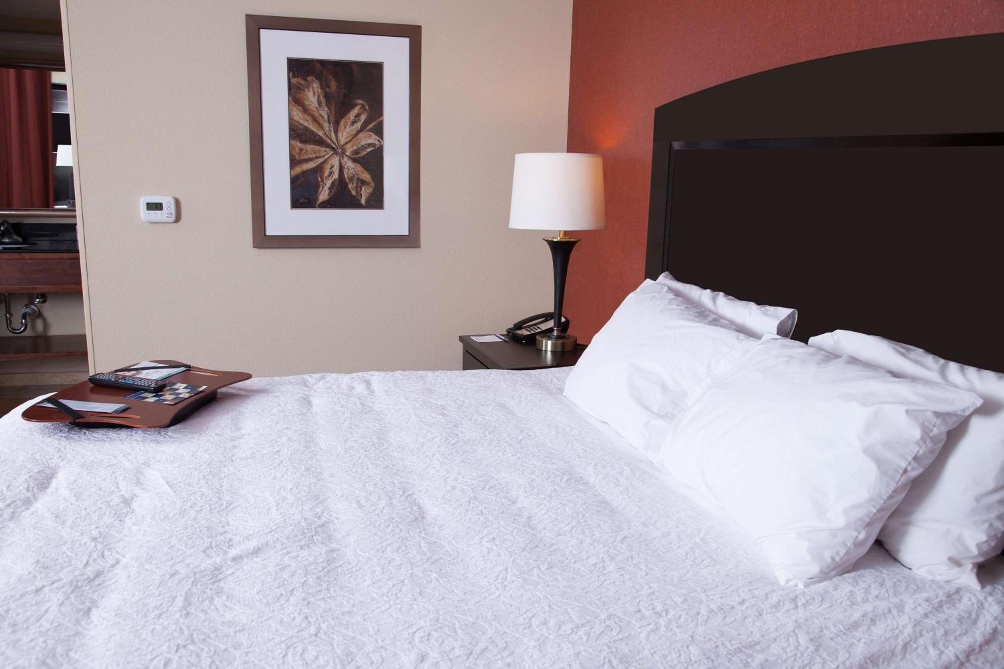 Hampton Inn & Suites Dickinson Nd Экстерьер фото