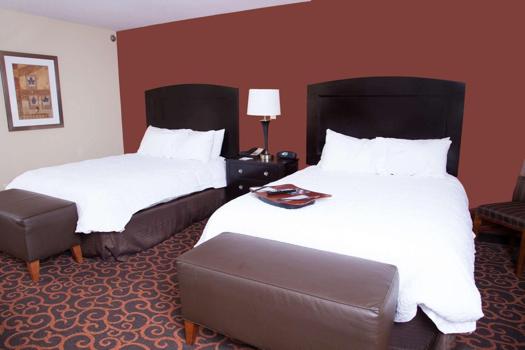 Hampton Inn & Suites Dickinson Nd Экстерьер фото